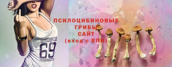 шишки Абинск