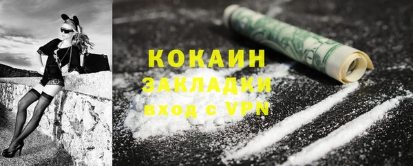 шишки Абинск