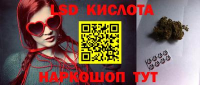 a pvp Гатчина