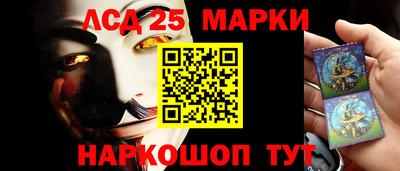 a pvp Гатчина