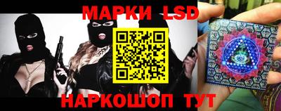 a pvp Гатчина