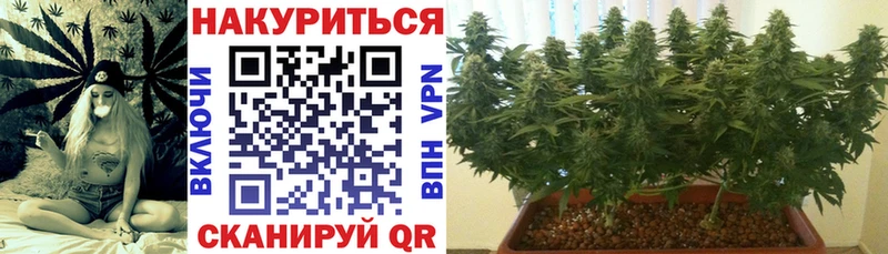 Конопля сатива  кракен ССЫЛКА  Южноуральск 